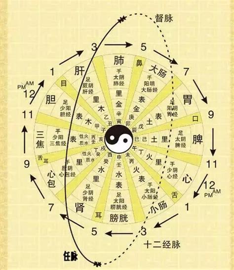 中醫時辰表|十二時辰與中醫經絡養生對照表（順天應人，強烈推薦！）